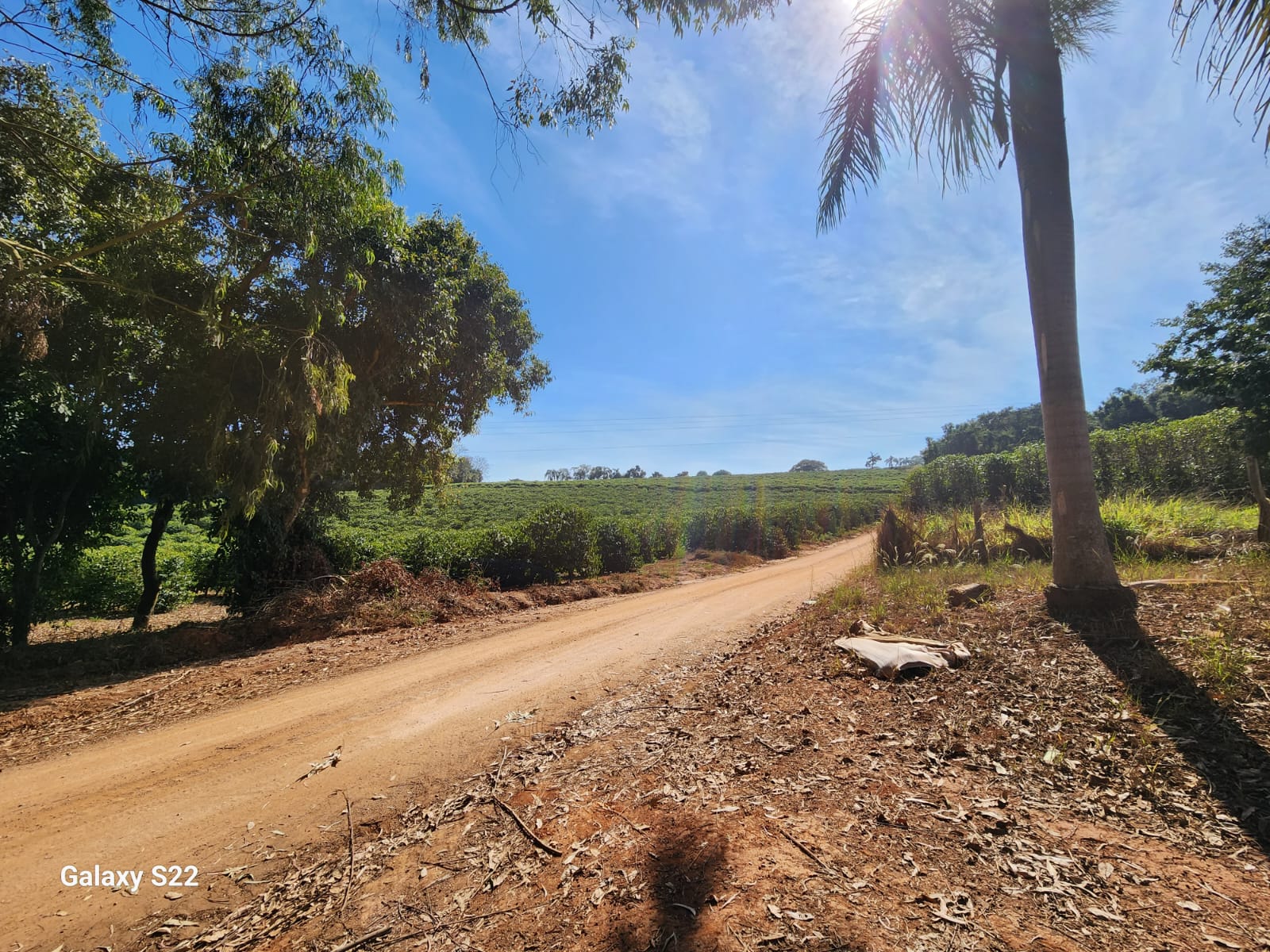 Chácara à venda com 5 quartos, 465000m² - Foto 3