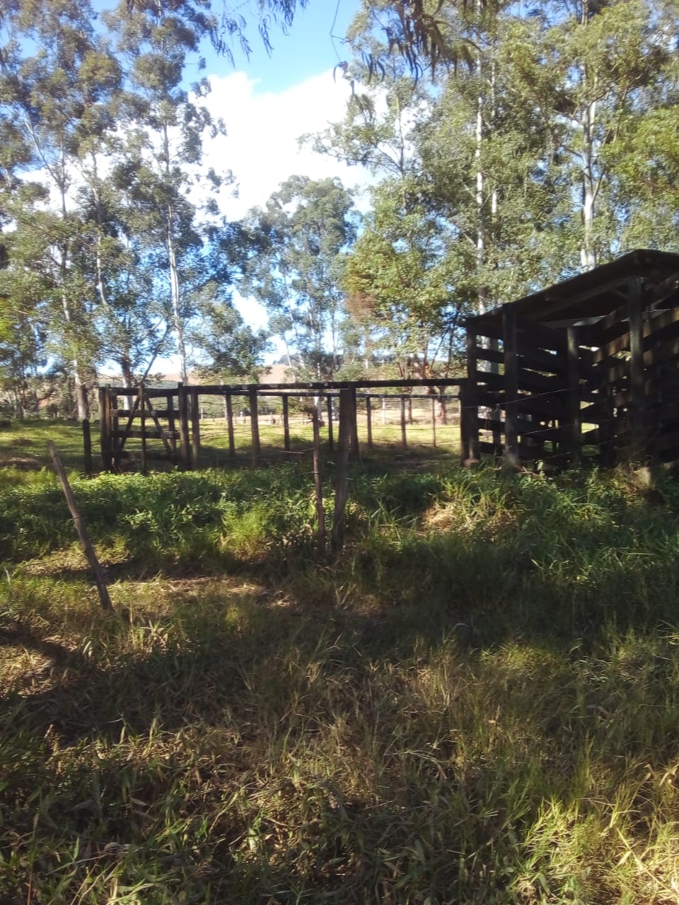 Chácara à venda com 4 quartos, 14665200m² - Foto 4