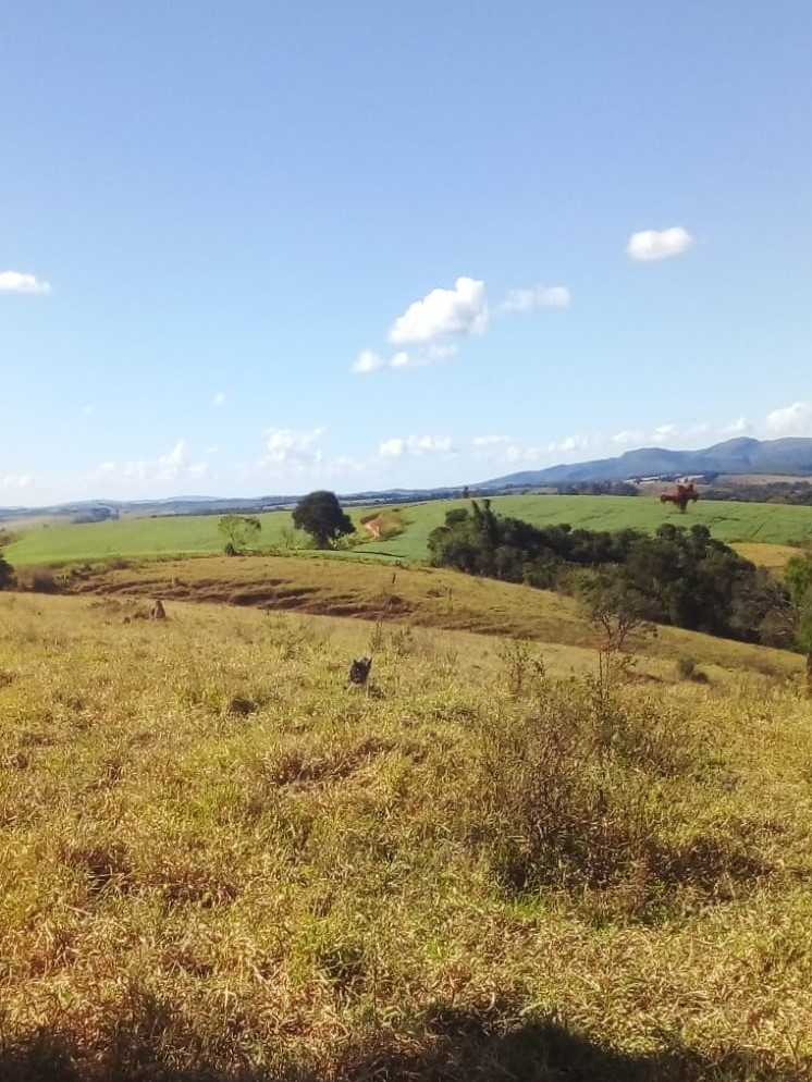 Chácara à venda com 4 quartos, 14665200m² - Foto 17