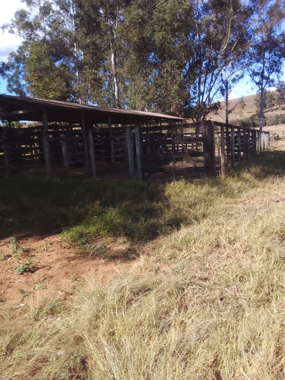 Chácara à venda com 4 quartos, 14665200m² - Foto 5