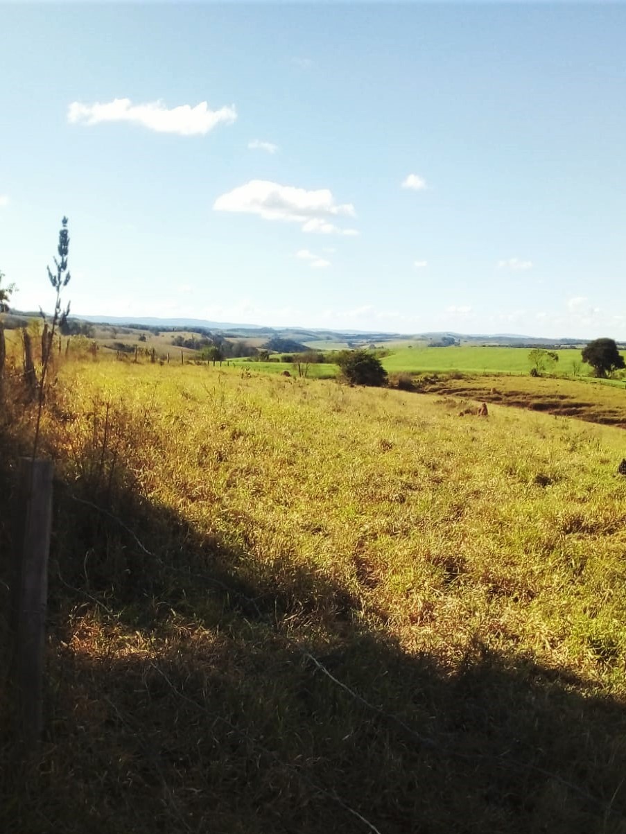 Chácara à venda com 4 quartos, 14665200m² - Foto 15