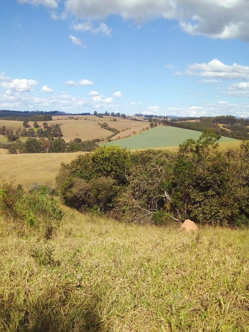 Chácara à venda com 4 quartos, 14665200m² - Foto 16