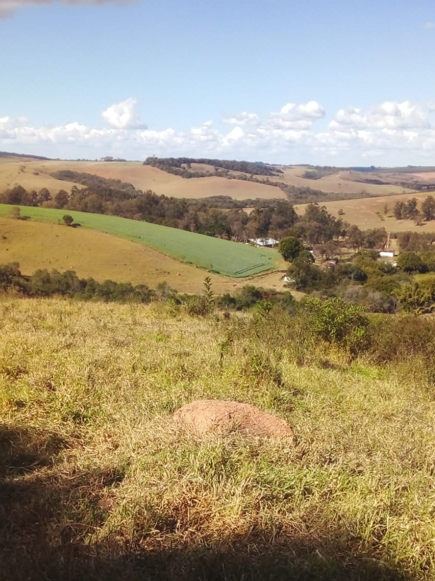 Chácara à venda com 4 quartos, 14665200m² - Foto 1