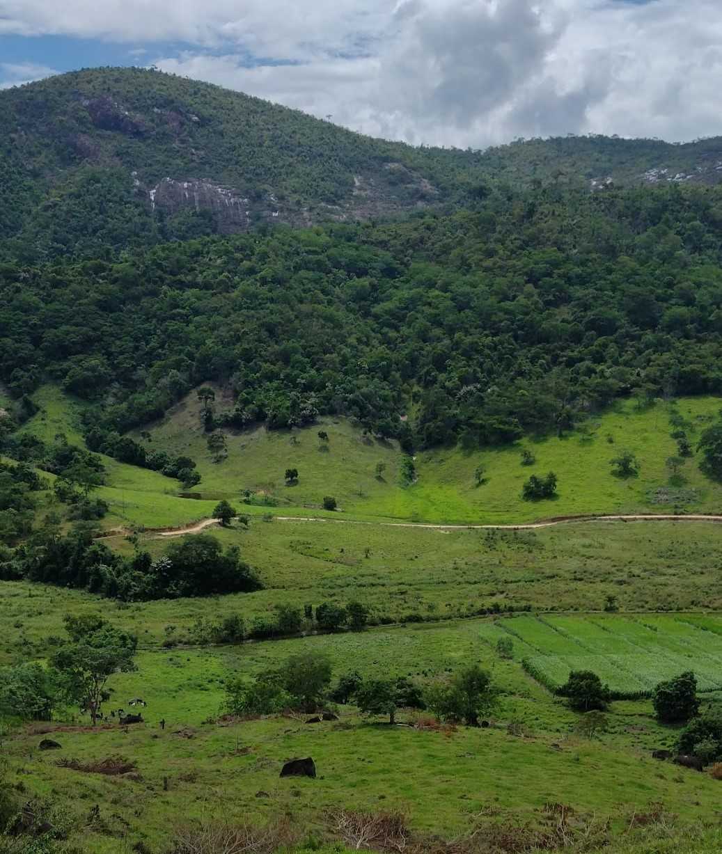 Chácara à venda com 4 quartos, 14665200m² - Foto 23