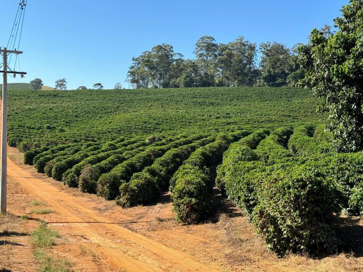 Chácara à venda com 3 quartos, 3970000m² - Foto 2