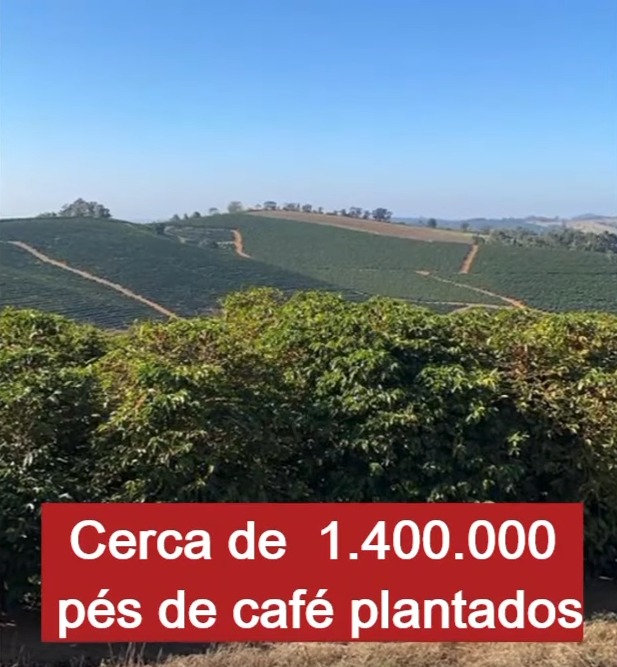 Chácara à venda com 3 quartos, 3970000m² - Foto 7