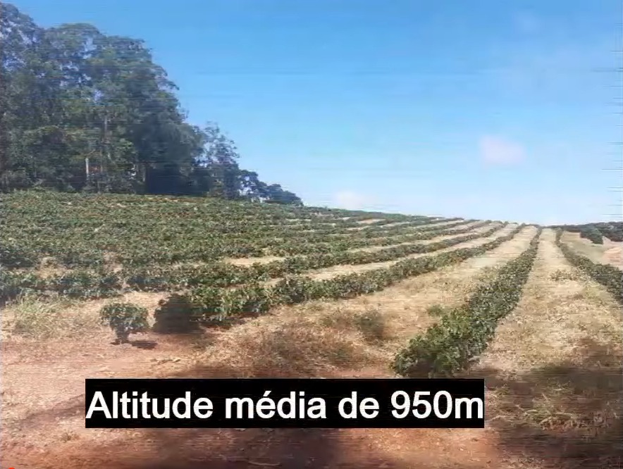 Chácara à venda com 3 quartos, 3970000m² - Foto 10