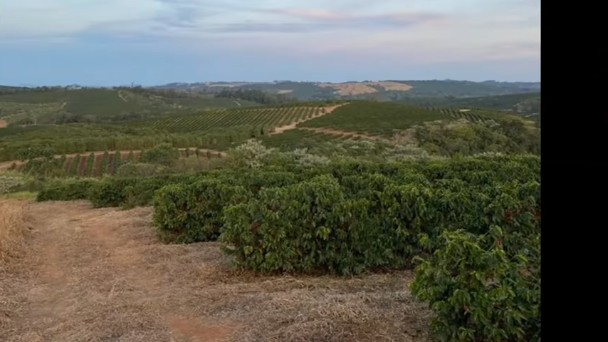 Chácara à venda com 3 quartos, 4110000m² - Foto 18