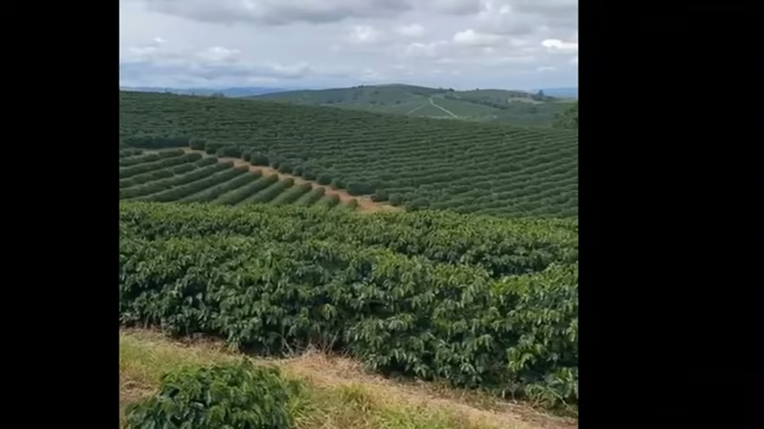 Chácara à venda com 3 quartos, 4110000m² - Foto 5