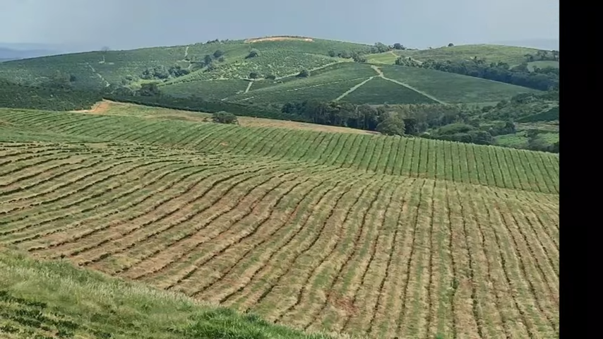 Chácara à venda com 3 quartos, 4110000m² - Foto 20