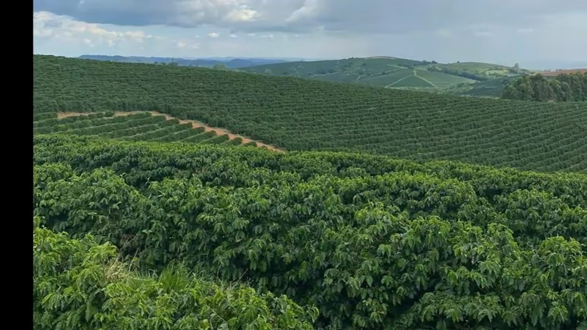 Chácara à venda com 3 quartos, 4110000m² - Foto 2