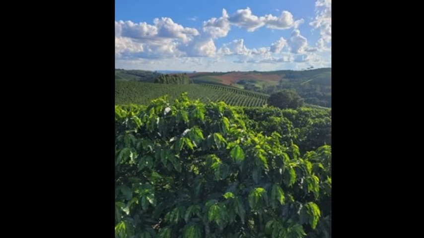 Chácara à venda com 3 quartos, 4110000m² - Foto 6