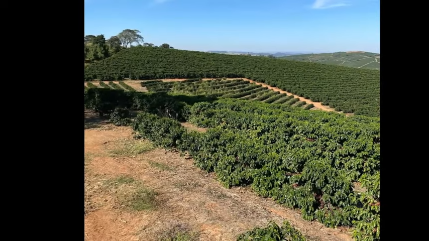 Chácara à venda com 3 quartos, 4110000m² - Foto 21