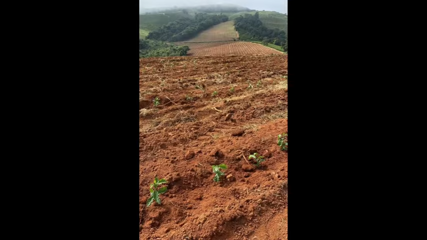 Chácara à venda com 3 quartos, 4110000m² - Foto 4