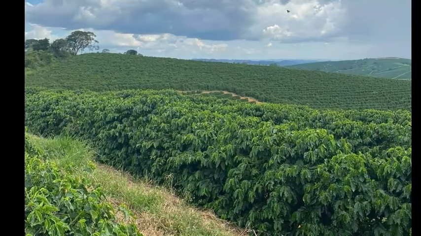 Chácara à venda com 3 quartos, 4110000m² - Foto 8