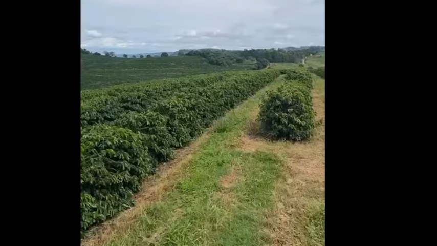 Chácara à venda com 3 quartos, 4110000m² - Foto 22