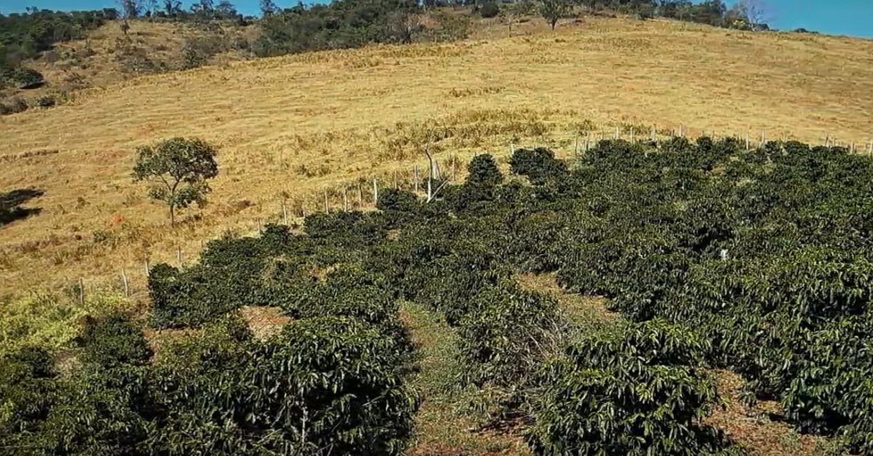 Chácara à venda com 2 quartos, 1210000m² - Foto 5