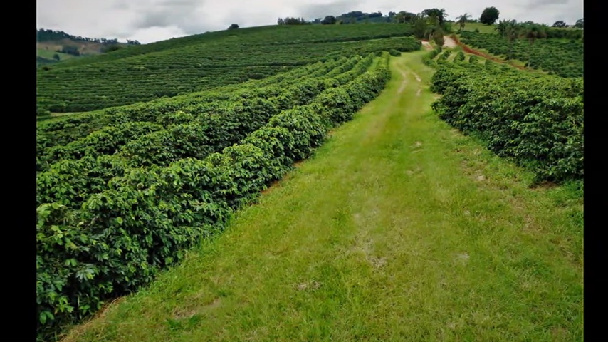 Chácara à venda com 3 quartos, 3650000m² - Foto 1