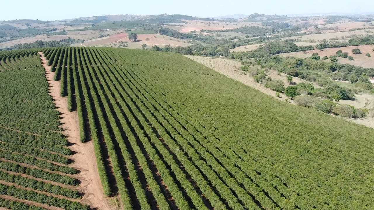 Chácara à venda com 3 quartos, 3650000m² - Foto 4