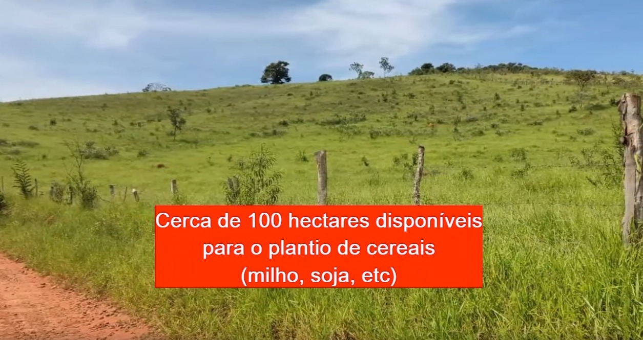 Chácara à venda com 4 quartos, 3270000m² - Foto 9