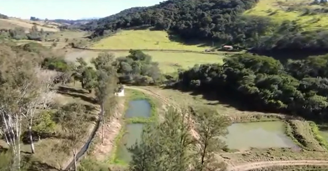 Chácara, 4 quartos, 327 hectares - Foto 3