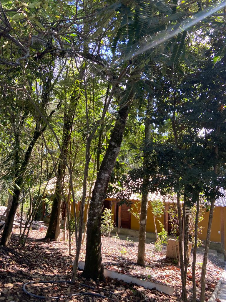 Chácara à venda com 6 quartos, 500m² - Foto 12