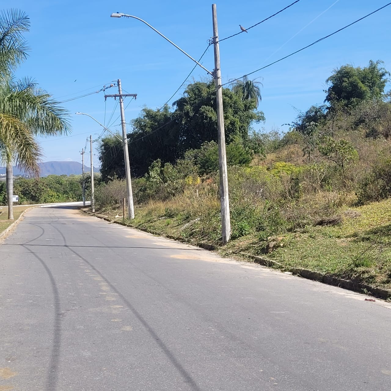 Terreno à venda, 700m² - Foto 3