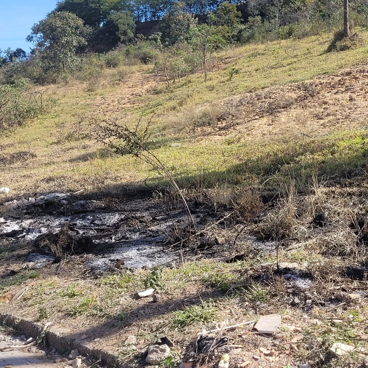 Terreno à venda, 700m² - Foto 6