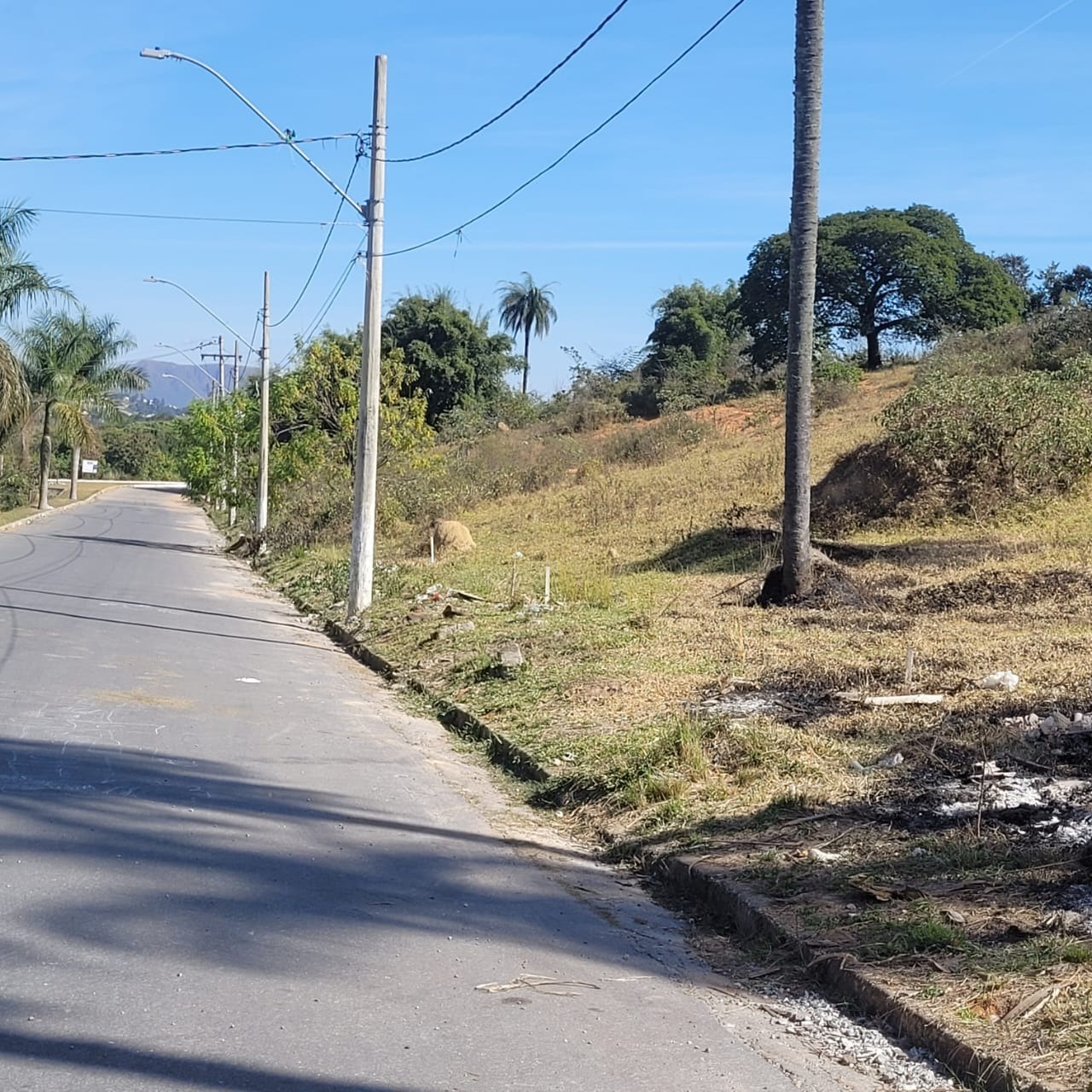 Terreno à venda, 700m² - Foto 5