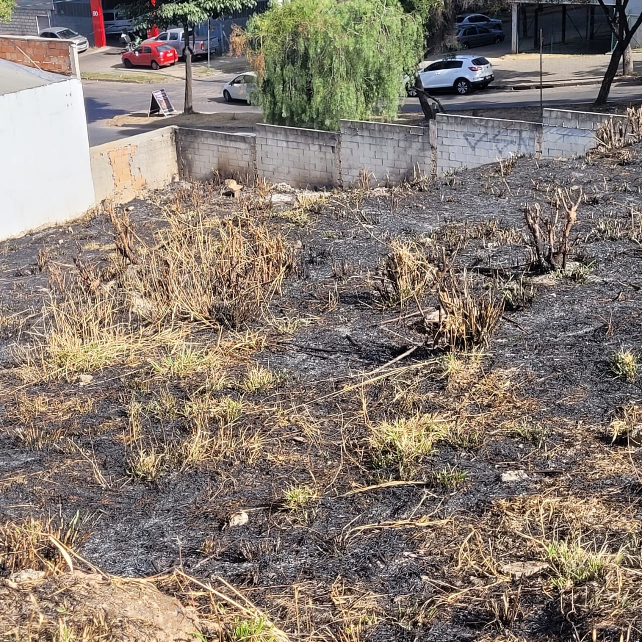 Terreno à venda, 1981m² - Foto 5