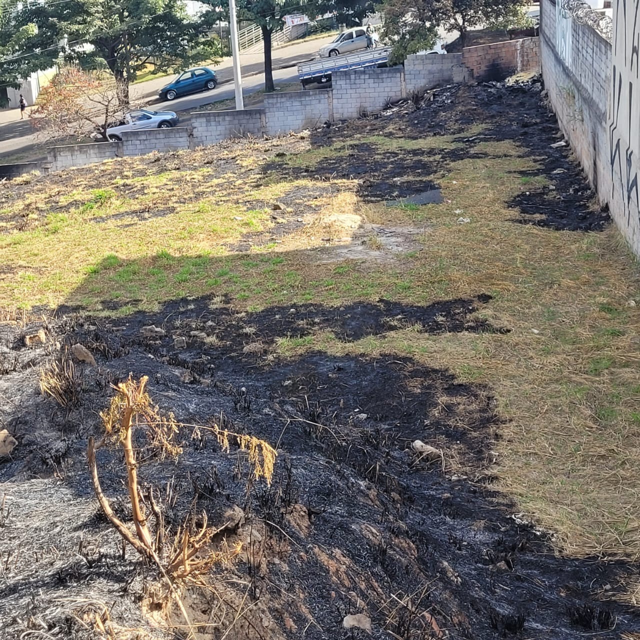 Terreno à venda, 1981m² - Foto 9