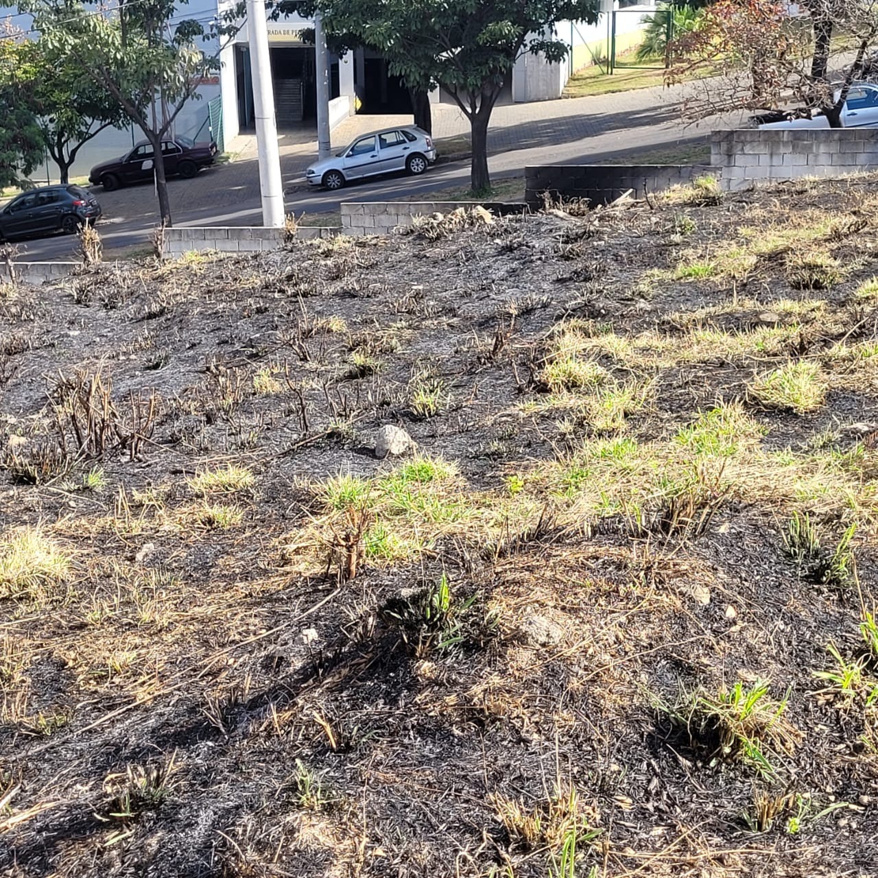 Terreno à venda, 1981m² - Foto 10