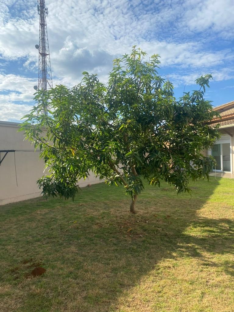 Casa à venda com 4 quartos, 300m² - Foto 19