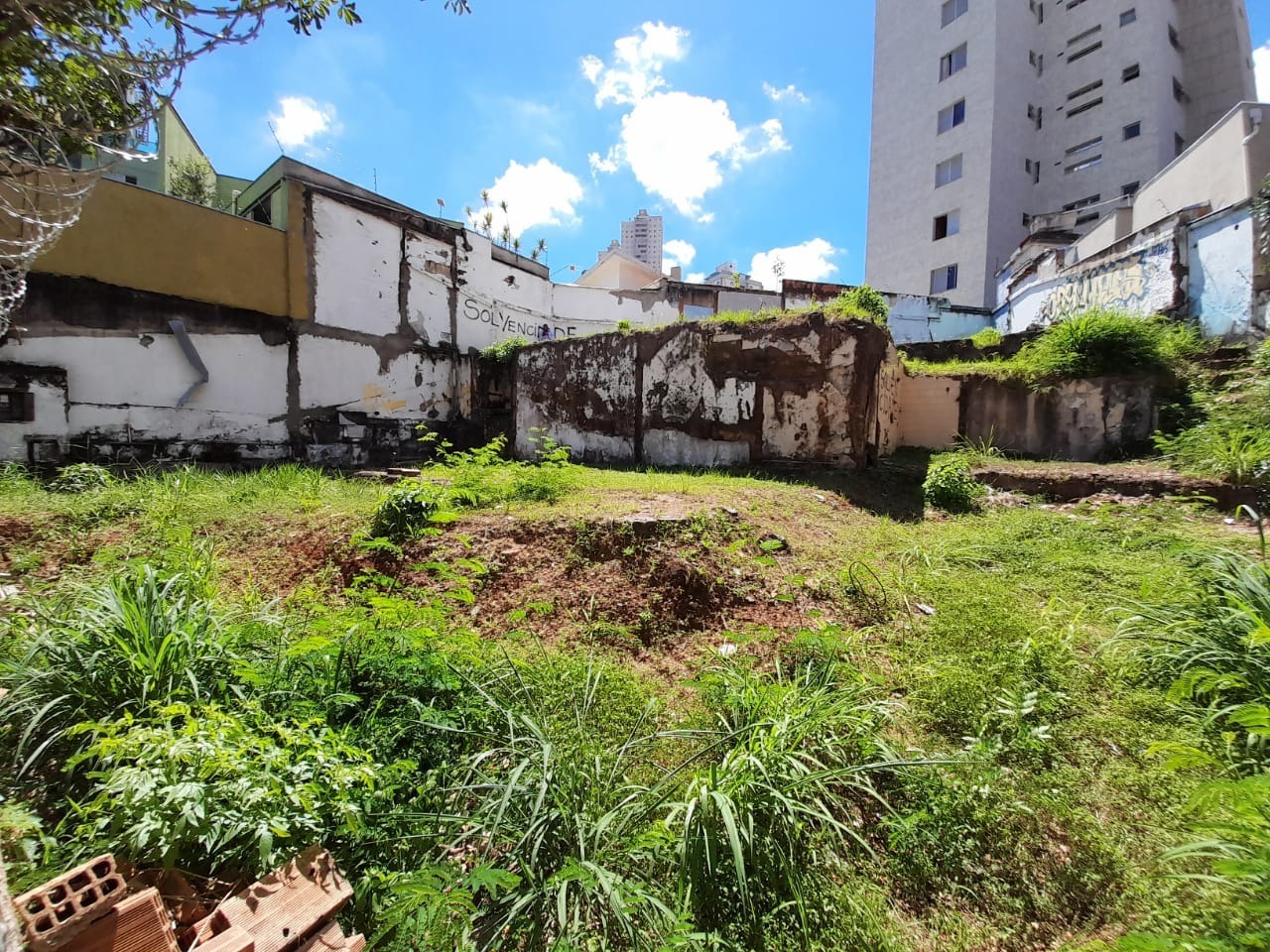 Terreno à venda, 360m² - Foto 2