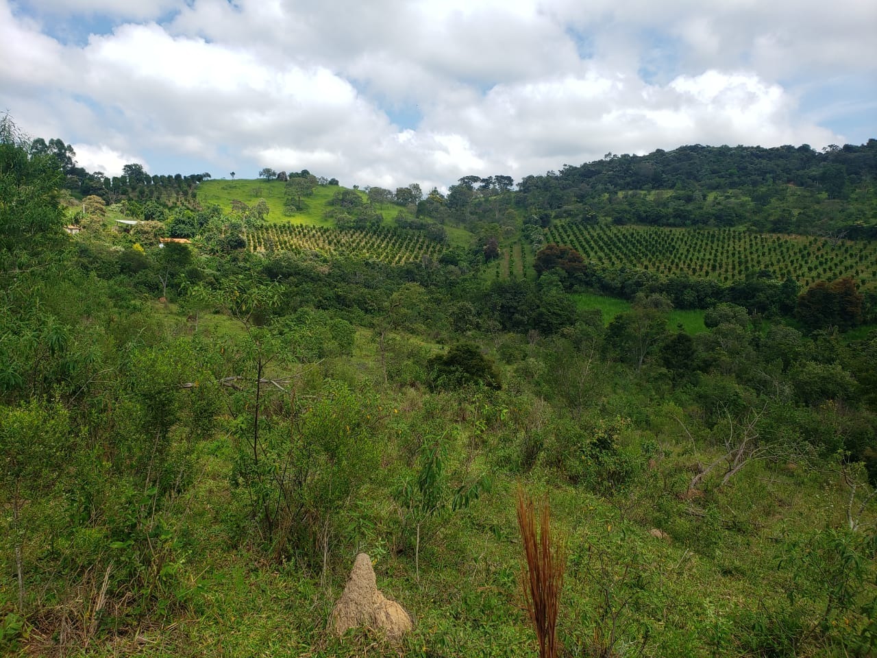 Chácara à venda com 1 quarto, 162000m² - Foto 9