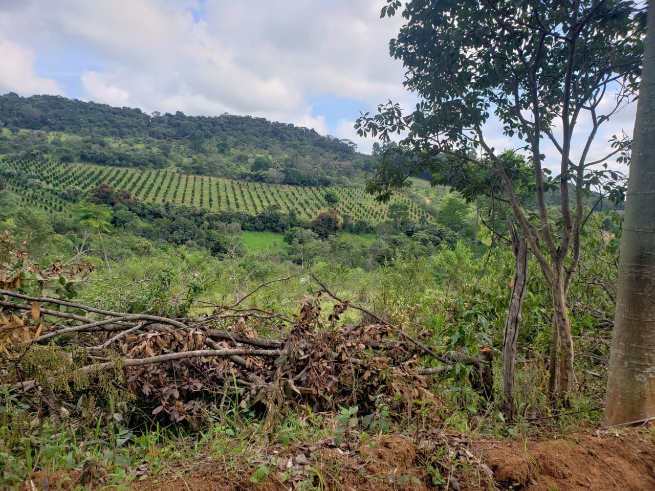 Chácara à venda com 1 quarto, 162000m² - Foto 13