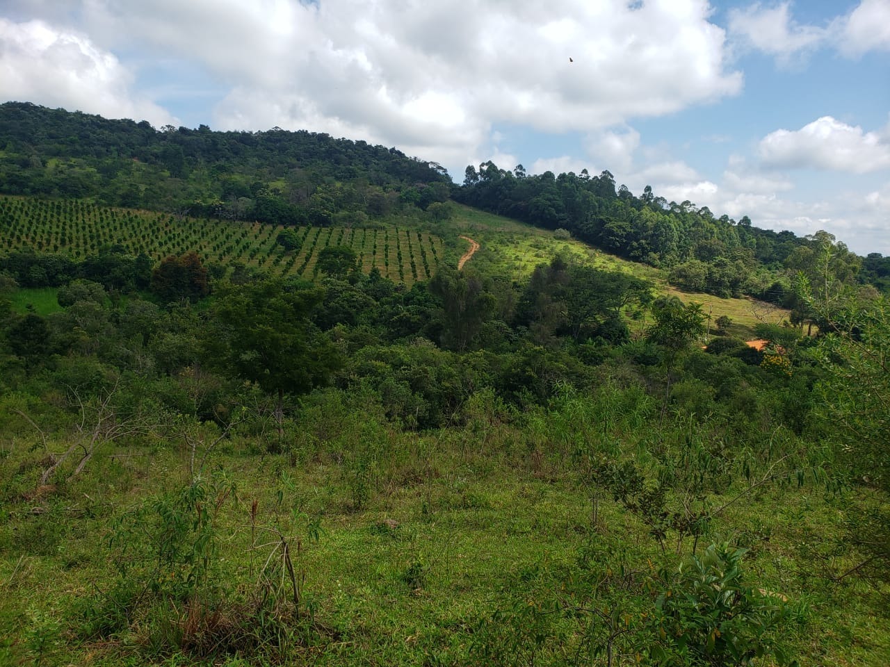 Chácara à venda com 1 quarto, 162000m² - Foto 15