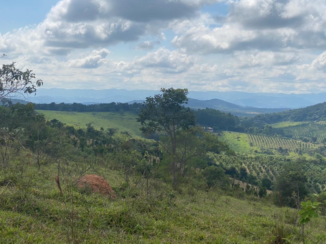 Chácara à venda com 1 quarto, 162000m² - Foto 18