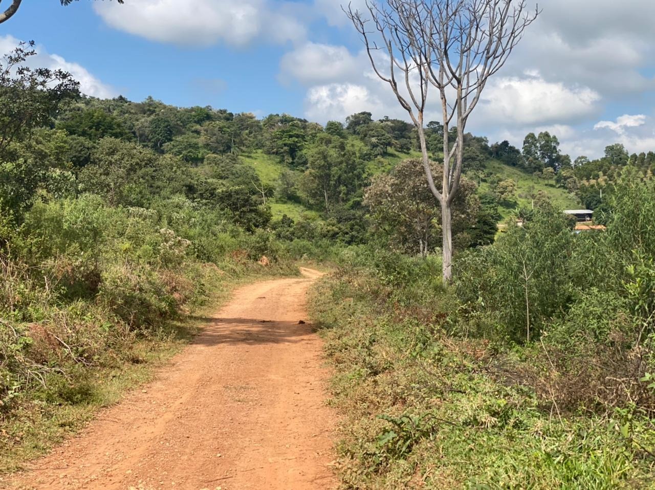 Chácara à venda com 1 quarto, 162000m² - Foto 8