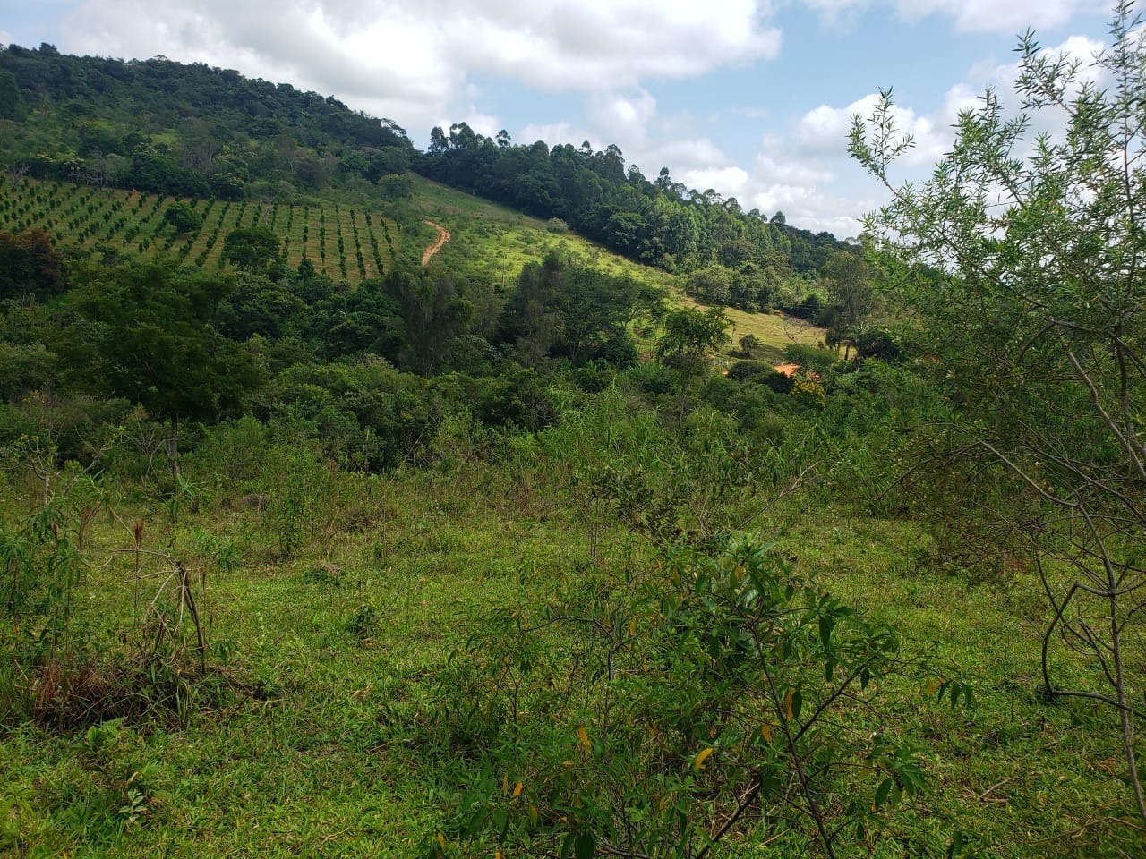 Chácara à venda com 1 quarto, 162000m² - Foto 20