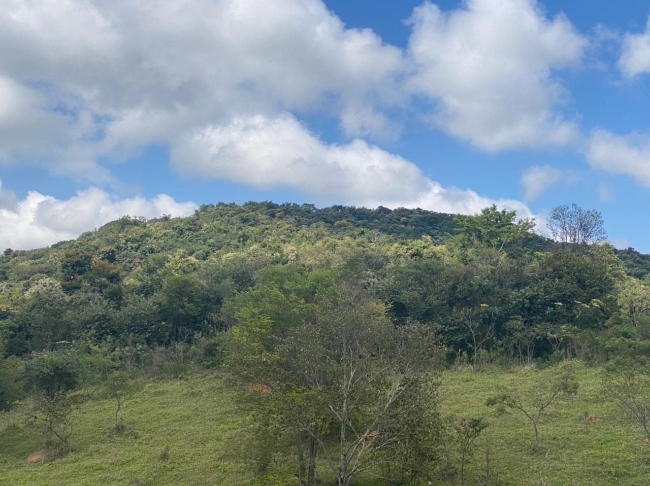 Chácara à venda com 1 quarto, 162000m² - Foto 21