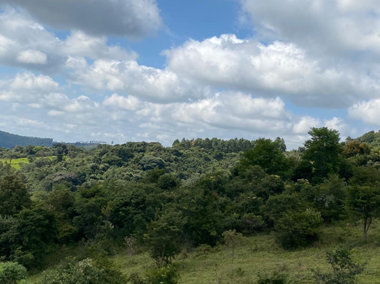 Chácara à venda com 1 quarto, 162000m² - Foto 23