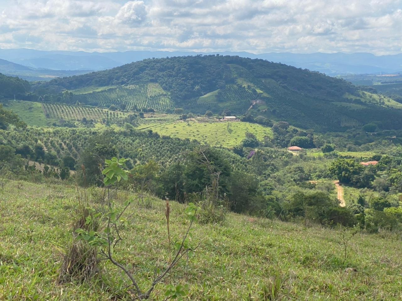 Chácara à venda com 1 quarto, 162000m² - Foto 24