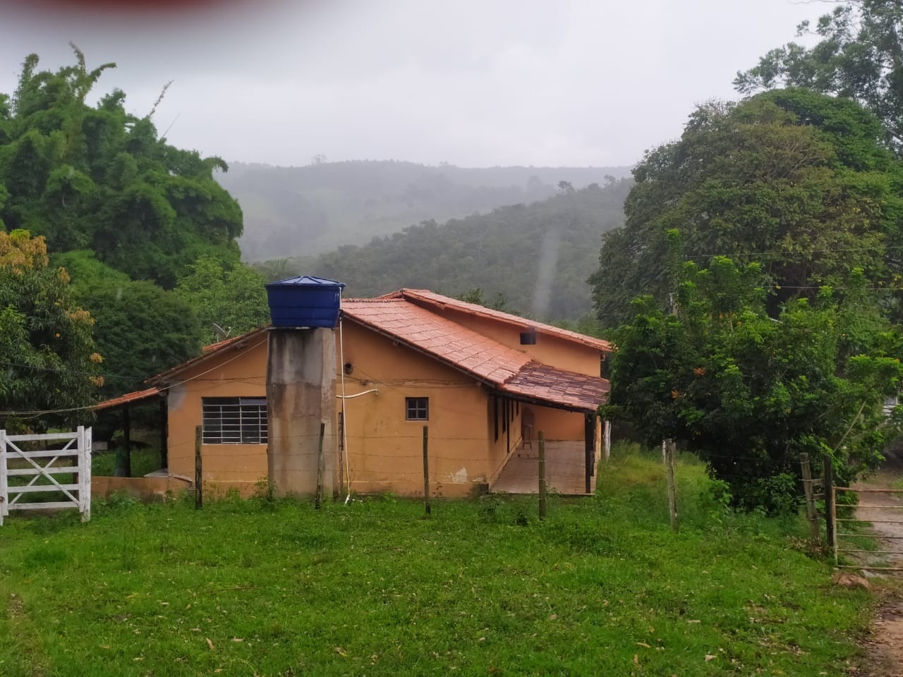 Chácara, 4 quartos, 57 hectares - Foto 1