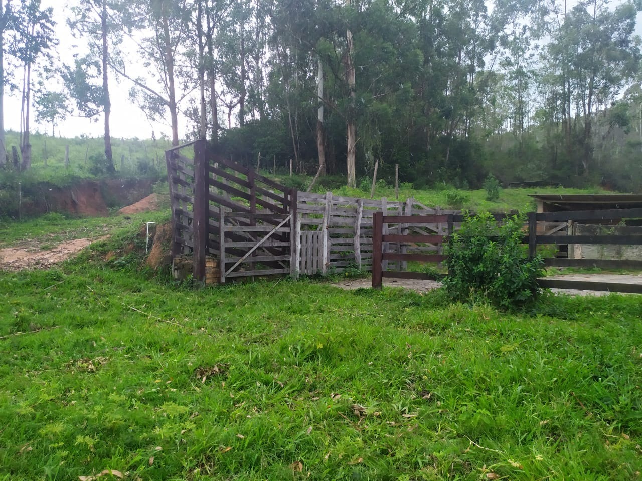 Chácara à venda com 4 quartos, 567000m² - Foto 8