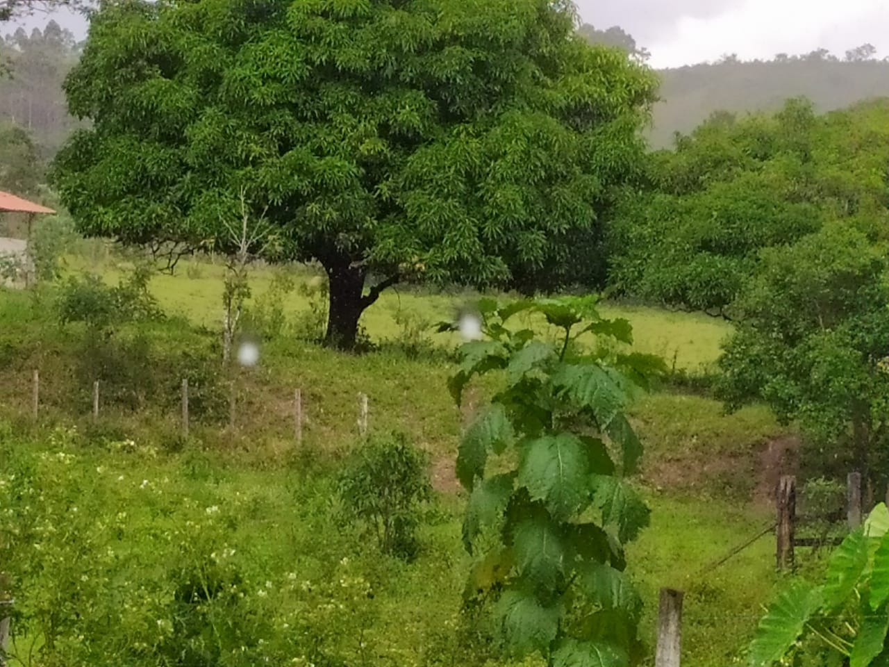 Chácara à venda com 4 quartos, 567000m² - Foto 11