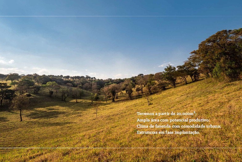 Terreno à venda, 20000m² - Foto 8