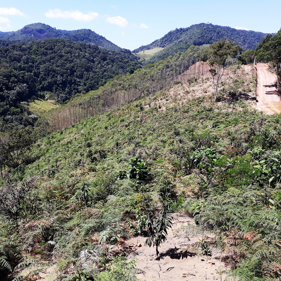 Chácara à venda com 1 quarto, 4000m² - Foto 1