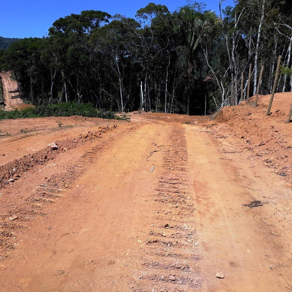 Chácara à venda com 1 quarto, 4000m² - Foto 3