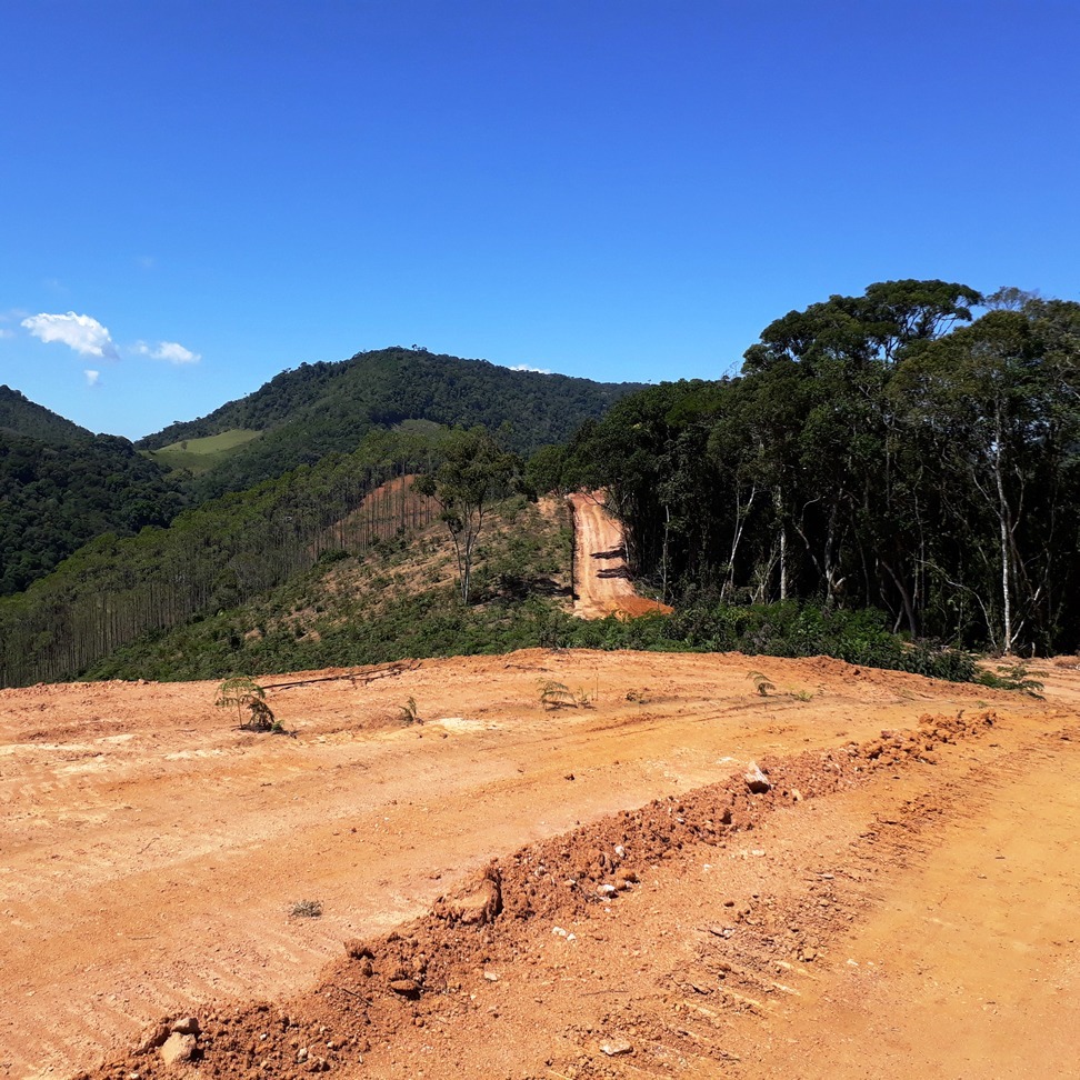 Chácara à venda com 1 quarto, 4000m² - Foto 2